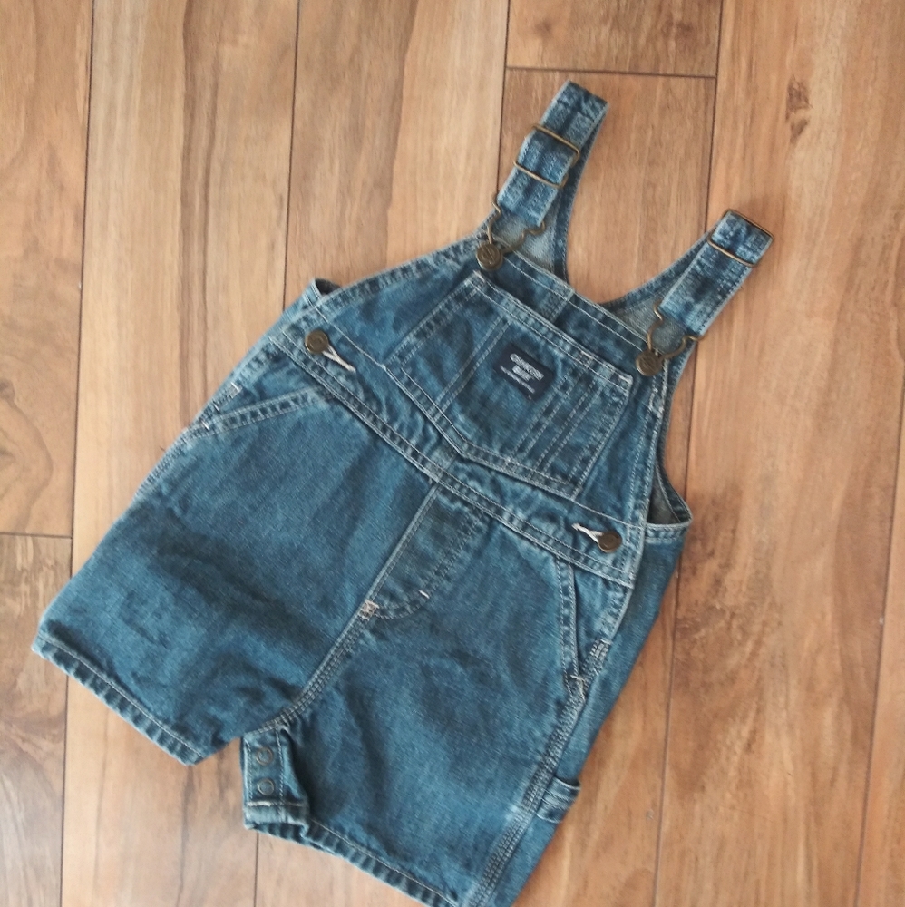 Carpenter Denim Overalls
